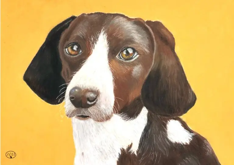 Pastel crayons and pencils on pastelmat