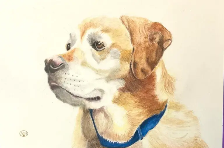 colored pencils