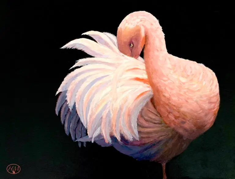 Flamingo, oils on canvas