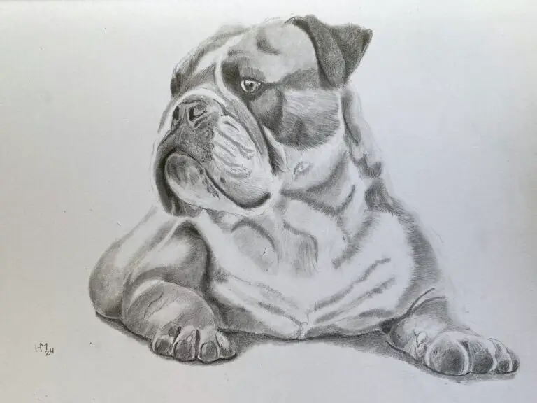 Frenchie, grahite pencils