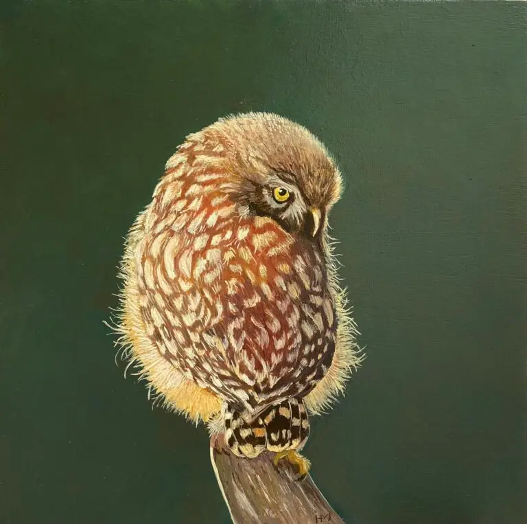 Owl, oils on wooden panel