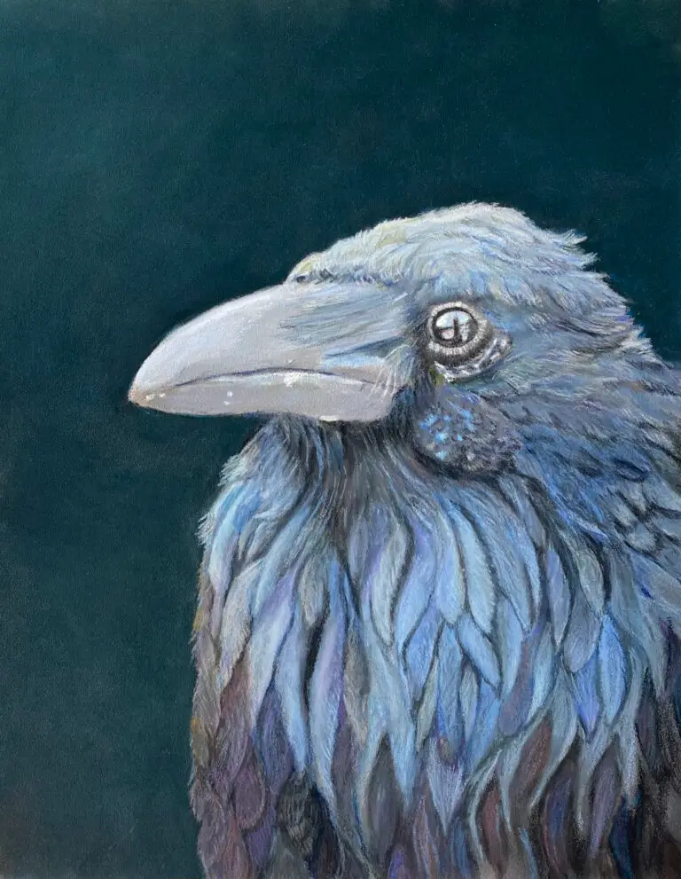 Raven, pastel crayons and pencils