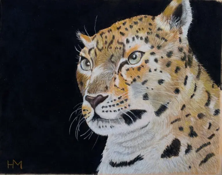 Snow leopard, pastel pencils