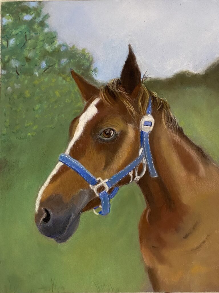 Horse, pastels