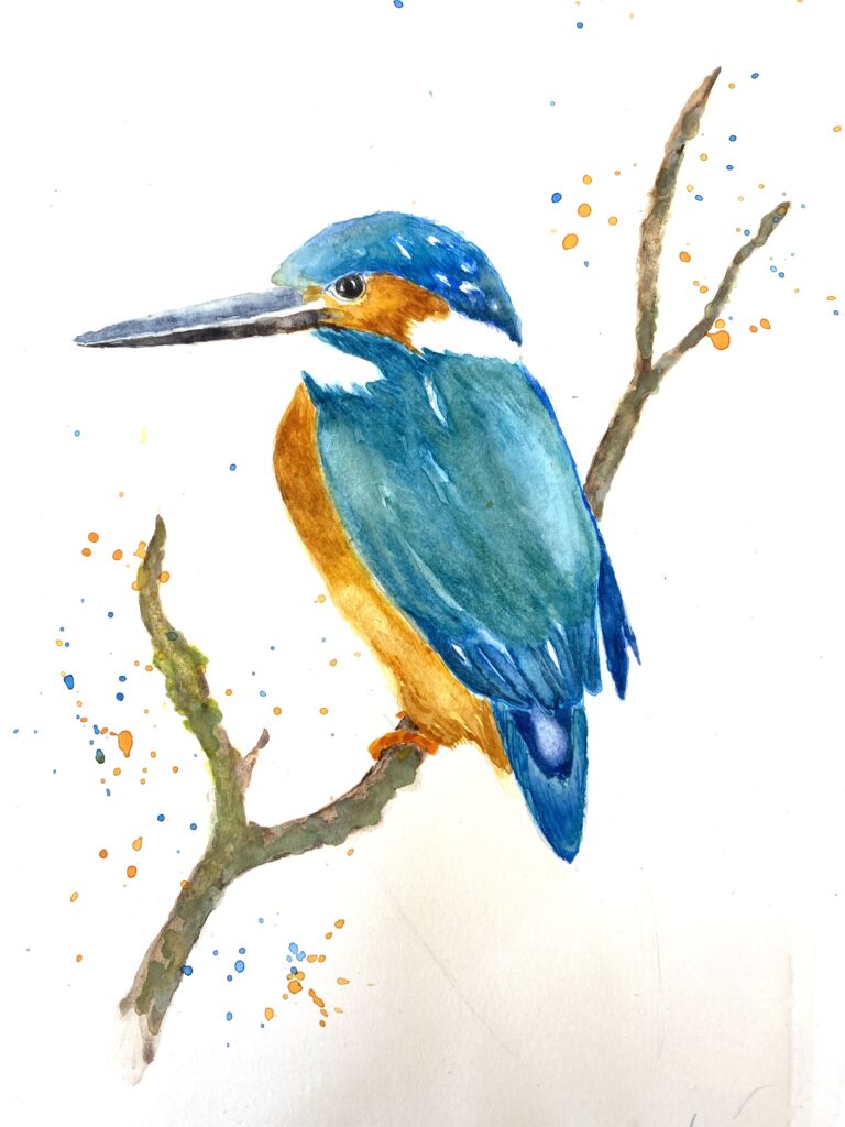 Kingfisher, watercolor